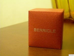 Berricle.com
