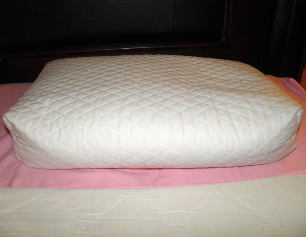 Form FIt Pillow