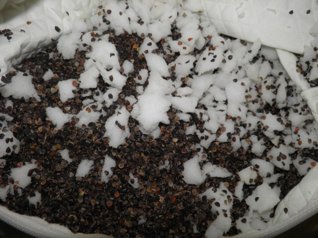 Buckwheat and foam filling