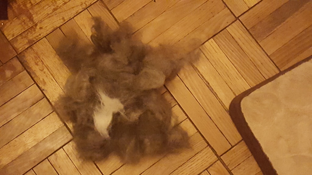 The amount of hair removed from Vinny after using the RollinPets comb 